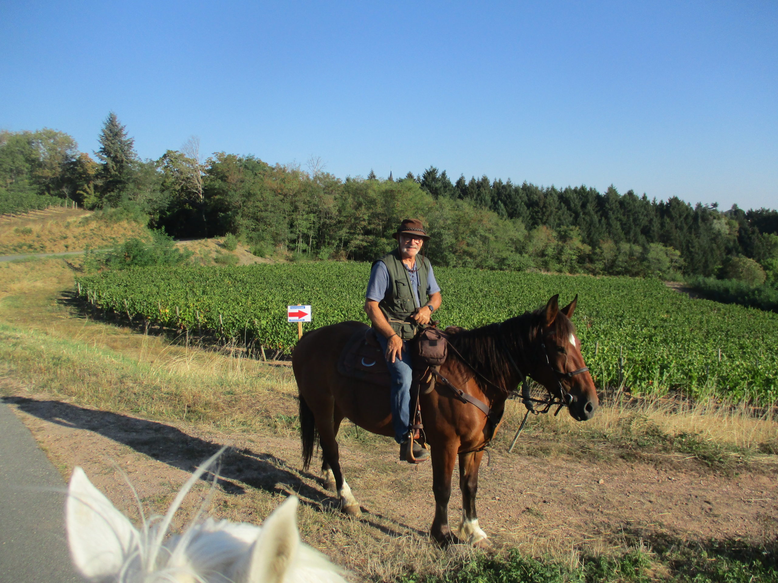 Trekpadienne à St Haon Le Vieux dimanche 10 septembre